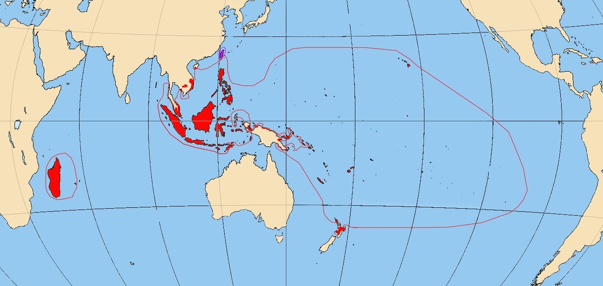 The Filipino Language and Austronesian Roots | Narra Studio